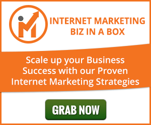 Internet Marketing Biz In a Box Module 9
