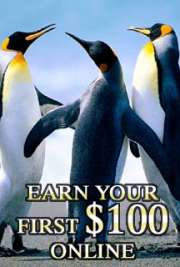 Earn your First $100 on Line E Book Graphic