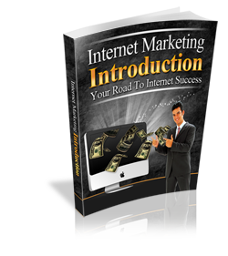 Internet Marketing Introduction ecover