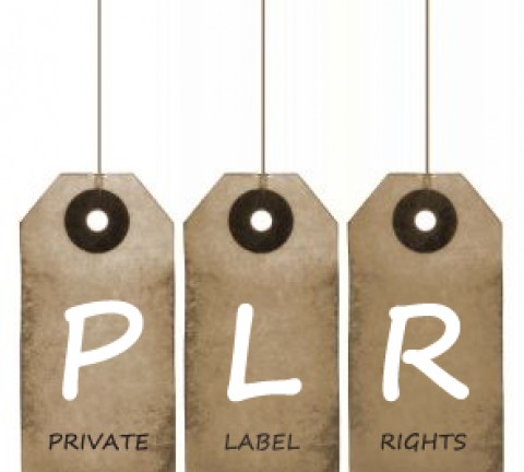 plr-rights E graphic